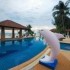 Alongkot Beach Resort