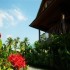 BC Badin Resort