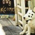 Green Gallery Bed & Breakfast Hua Hin