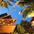 Green Papaya Resort