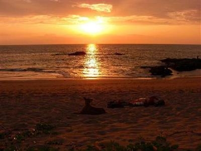Ocean Breeze Resort